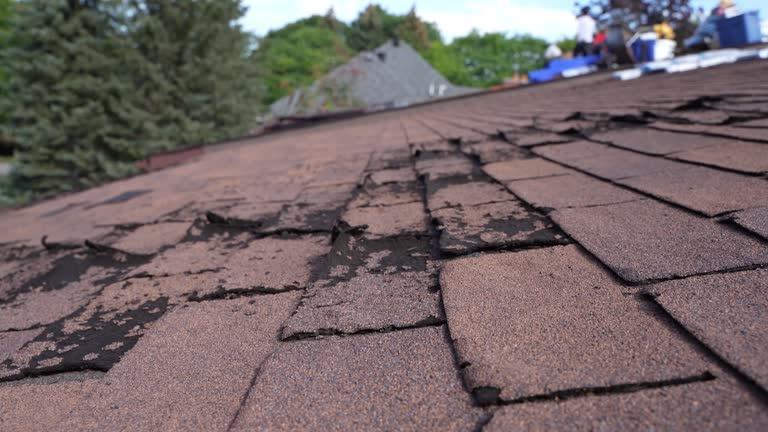 Best Roof Leak Repair  in Pen Argyl, PA